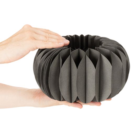 Článok Papierové ozdobné krúžky s včelinou z tekvice 24 cm, 4 ks