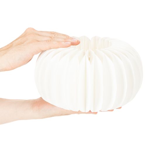 Papierový kruh s včelinou tekvicou, okrúhly, veľký na sušené kvety a jesennú dekoráciu 24 cm, 4 ks | Floristik24.sk