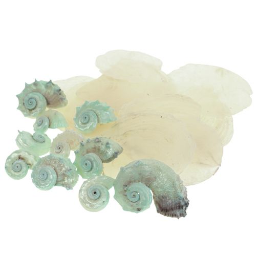 Capiz perleťová ulita perleťové plátky ulita morského slimáka zelená 2–9 cm 650 g