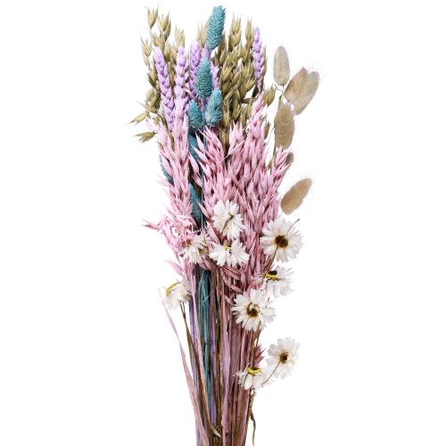 položky Sušená kytica slamené kvety Phalaris grain 58cm