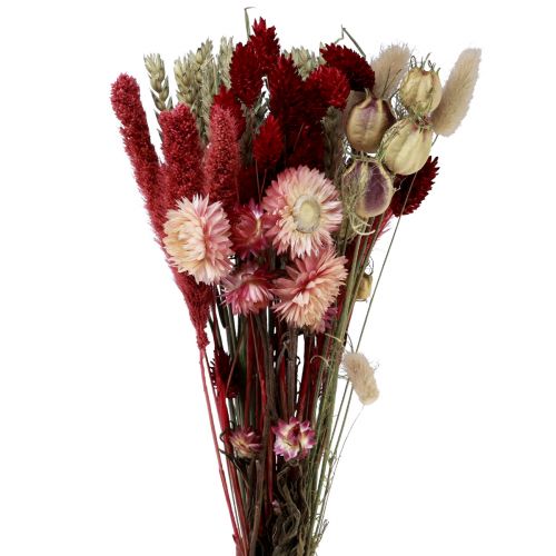 Sušená kytica slamené kvety Phalaris červená 30cm