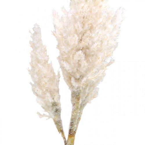 položky Pampas tráva biela krémová dekorácia umelá suchá tráva 82cm