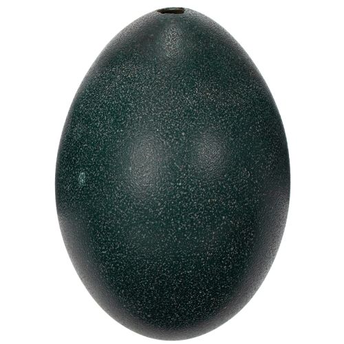 položky Dekorácie Emuei pre slávnostnú výzdobu domácnosti a štýlové doplnky na Veľkú noc