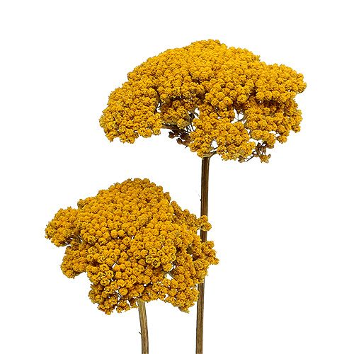 Achillea 1kg prírodná