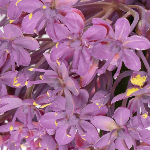 položky Umelý kvet cesnaku, okrasná cibuľa, elegantná dekorácia izby, 90 cm