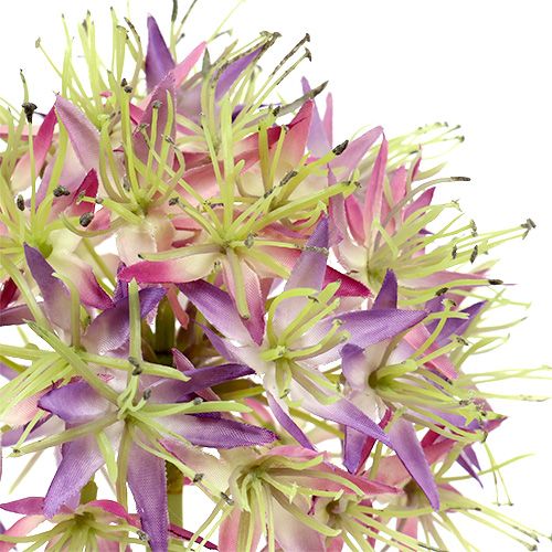 položky Allium svetlofialová L76cm