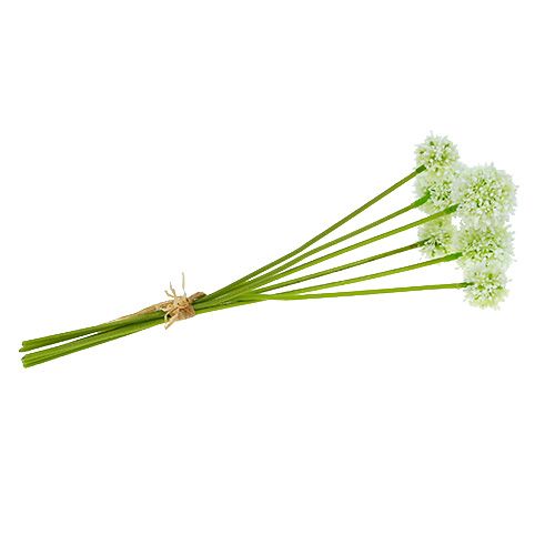 Floristik24 Allium 35cm Biela 6ks