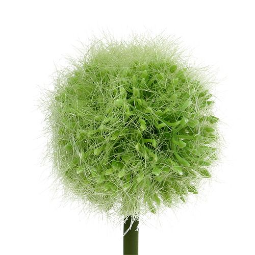 položky Allium zelená L37,5cm 4ks