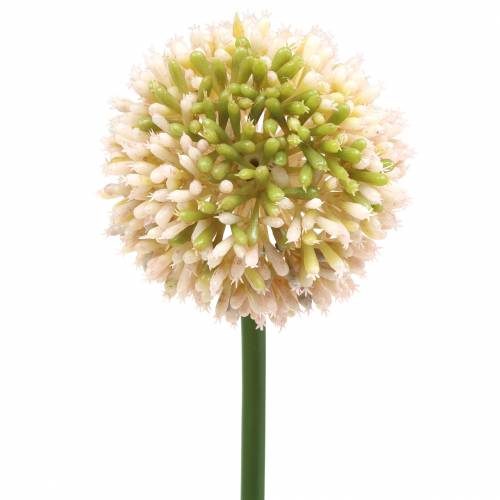 položky Okrasná allium umelá ružová/zelená Ø8cm 58cm