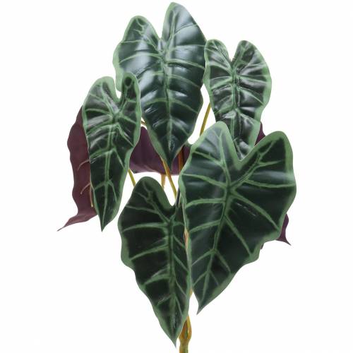 položky Alocasia šípka listová zelená, fialová umelá rastlina V48cm