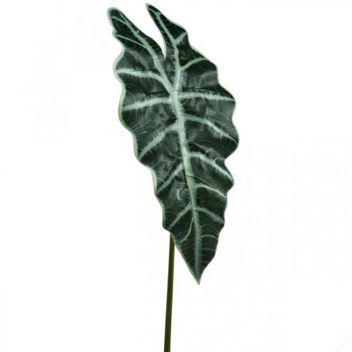 Floristik24 Umelý list šípu umelá rastlina alocasia deco zelená 74cm