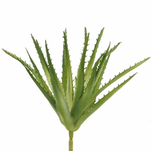 Floristik24 Aloe Vera umelé zelené 26cm