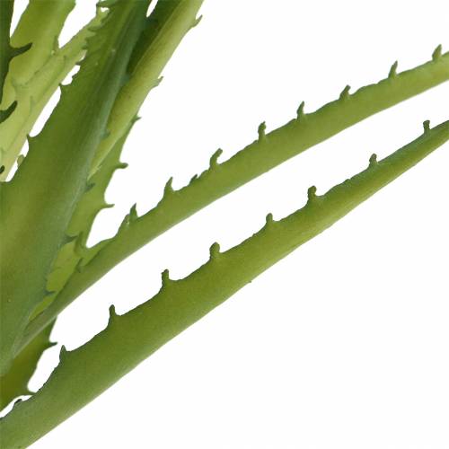 položky Aloe Vera umelé zelené 26cm