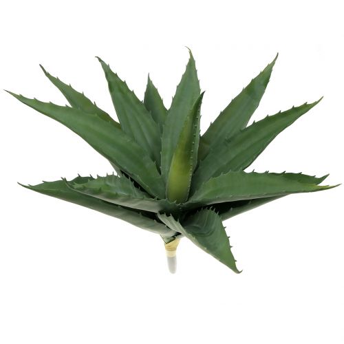 Floristik24 Konár z aloe umelá zelená 47cm