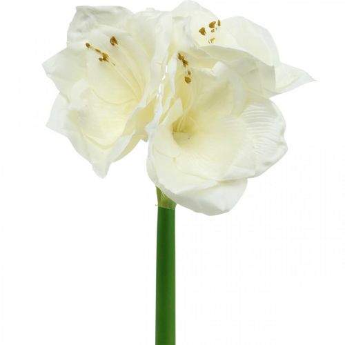 Floristik24 Umelý kvet Amaryllis biela rytierska hviezda Vianočná dekorácia V40cm
