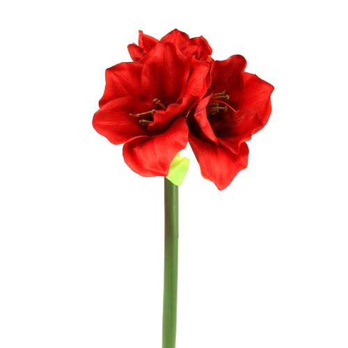 Floristik24 Amaryllis umelý 60cm červený