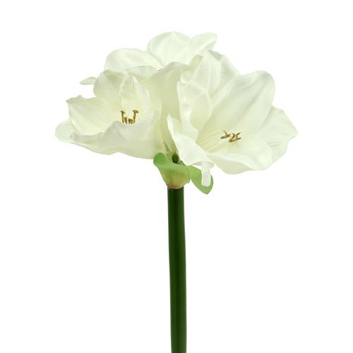 Floristik24 Amaryllis umelý 60cm biely