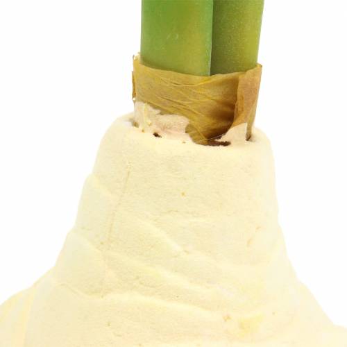 Floristik24 Cibuľka Amarylis s púčikmi Umelá biela H30cm