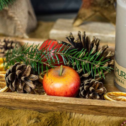 položky Sada 12 umeleckých dekorácií Gala Apple Red Art, 5 cm - realistická, vysoko kvalitná, klamlivo skutočná