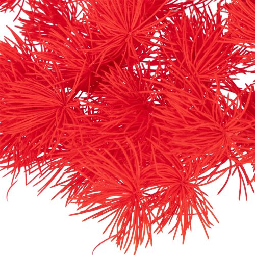 Sušený zväzok špargle na kvetinové aranžmány 65 cm 80 g | Floristik24.sk