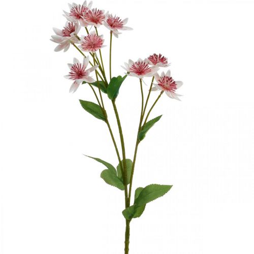 položky Veľký Masterwort Umelý Astrania Silk Flower Biela Ružová L61cm