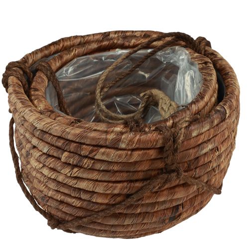 položky Kôš na závesný vodný hyacint hnedý 25/31 cm sada 2 ks