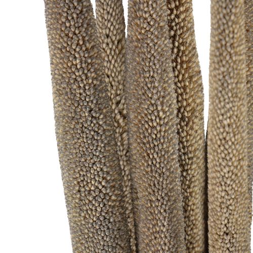 položky Umelé proso v spreji Babala na aranžmány zo sušených kvetov a dekoratívne aranžmány