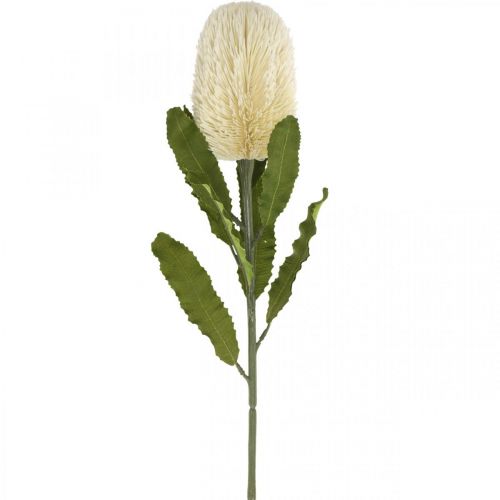 Floristik24 Umelý kvet banksia biela krémová umelá exotika 64cm