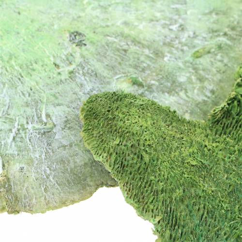 položky Stromčeková špongia zelená biela vypraná 1kg