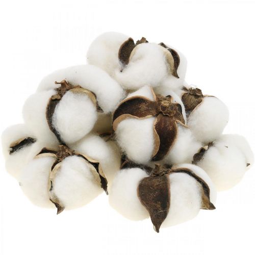 položky Dekorácia bavlnené kvietky Prírodná dekorácia zo sušenej bavlny Ø6cm 12ks