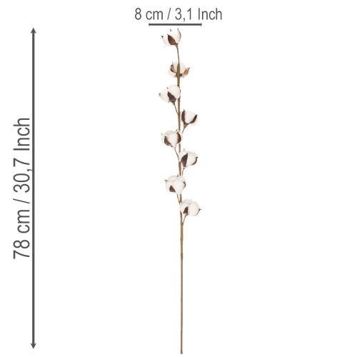 Umelá bavlnená vetvička s 8 skutočnými kvetmi, 78 cm | Floristik24.sk