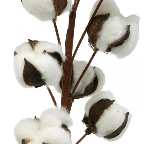 položky Bavlnená ratolesť prírodná dekorácia 10 hlavičiek na drôtenej bavlnenej dekorácii 68cm