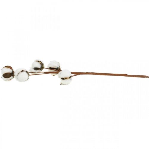 položky Bavlnená dekorácia konár Dekoračný konár z pravej bavlny 5 hlavičiek 50cm