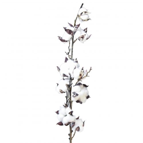položky Bavlnené konáre bavlnené kvety umelé hnedobiele L95cm