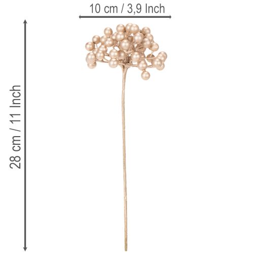 Umelý konár z bobúľ, šampanská farba, 28 cm, 3 kusy | Floristik24.sk
