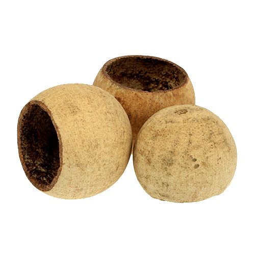 Bell Cup malý prírodný 25 ks