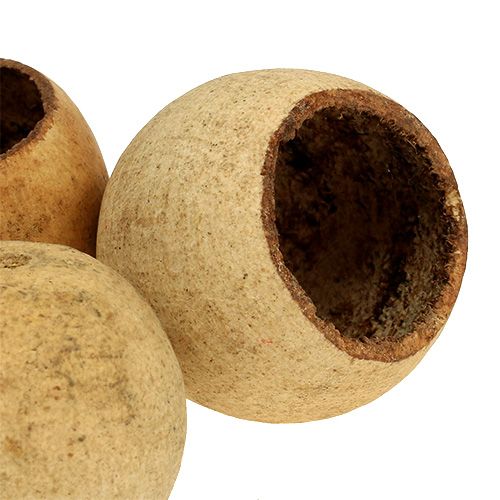 položky Bell Cup malý prírodný 25 ks