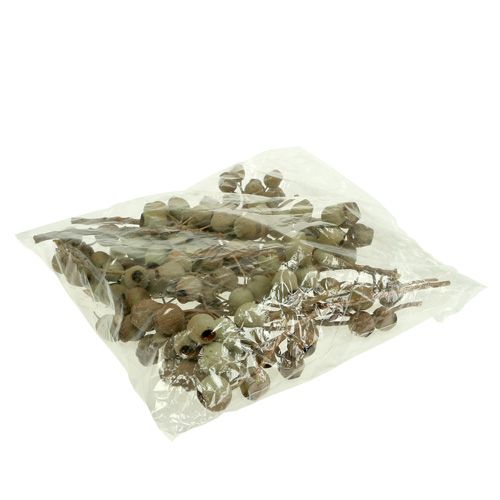 položky Odbočka Bellgum 4 - 14 hláv 20 ks