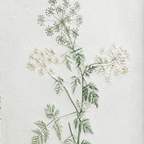 Floristik24 Vintage nástenná dekorácia, obraz s rámom drevo sušená rastlina 40×50cm