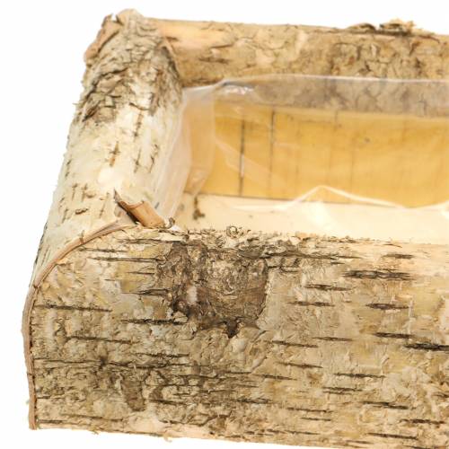 Floristik24 Kvetináč breza 40 cm x 20 cm V8,5 cm