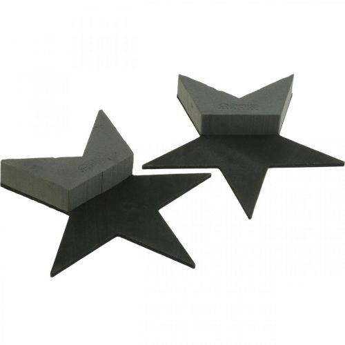 položky OASIS® Black Bioline® Floral Foam Star Black H30cm 2 ks