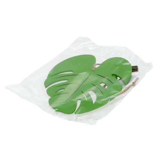 Floristik24 List 14,5cm na zavesenie Zelená