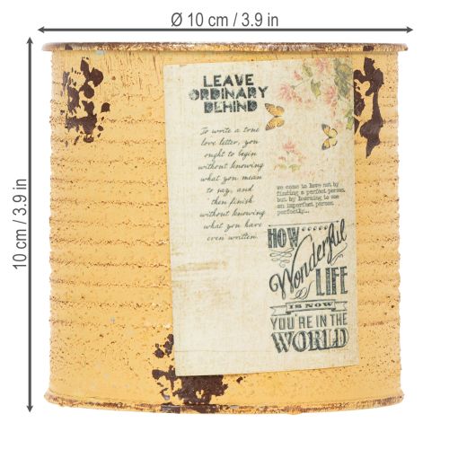 položky Dekoratívna plechovka z plechovky, kvetináč Marhuľa, Ø11cm V10,5cm