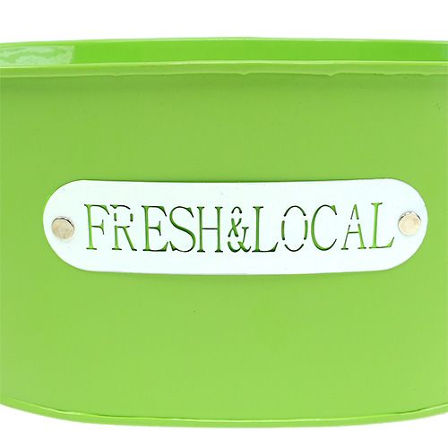 Floristik24 Plechová misa oválna zelená 22cm x 15cm V10cm