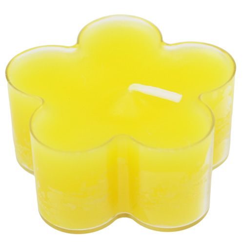 Floristik24 Kvet svetložltý 12ks