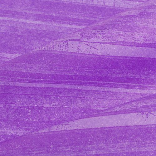 položky Kvet Silk Trendline Purple 50cm 6kg