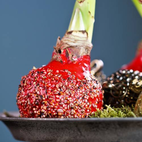 položky Vosk na namáčanie kvetov 1kg Ruby