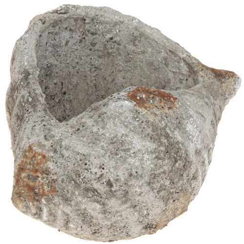 Kvetináč mušľový kameň starožitný sivý námorný 22×18×13cm
