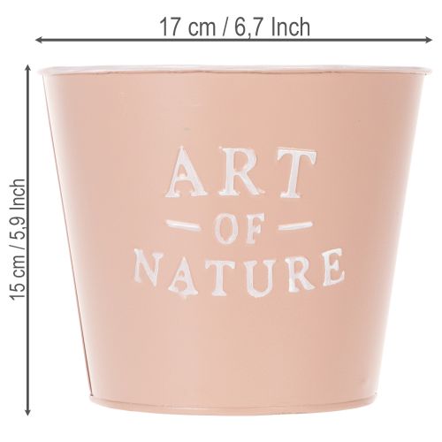 položky Zinkový kvetináč Art of Nature, antická ruža, Ø17,5 cm V15 cm