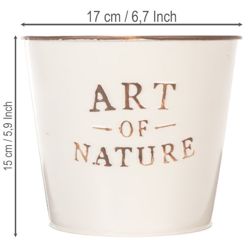 Zinkový kvetináč Art of Nature krémový Ø17,5 cm V15 cm | Floristik24.sk